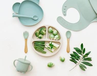 Bebek maması düzdü. Taze yeşil sebze çeşitleri. Vitaminli, mineralli sağlıklı vejetaryen yemekleri. İlk çocuk beslenme konsepti. Üst görünüm