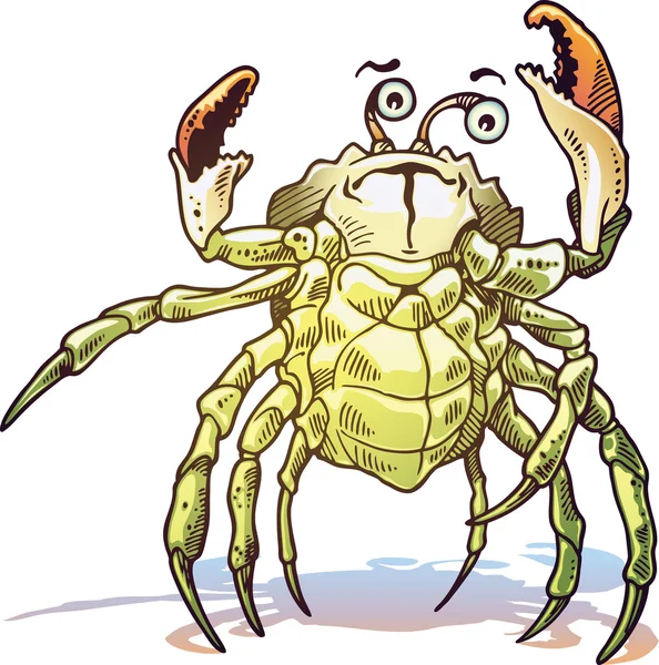 Crabe de mer — Image vectorielle