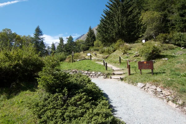 Valnontey - botanischer Garten (Aostatal)) — Stockfoto