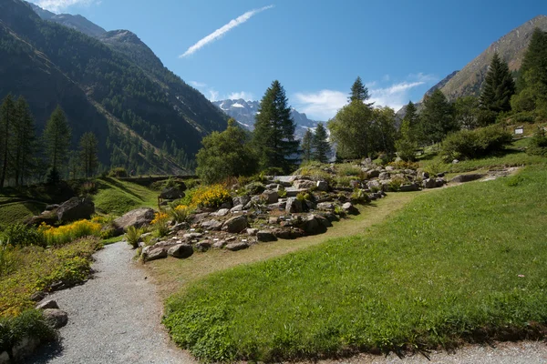 Valnontey - botanischer Garten (Aostatal)) — Stockfoto