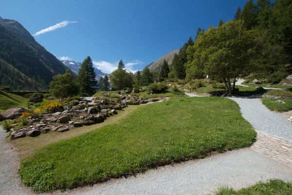 Valnontey - botaniska trädgården (Aostadalen) — Stockfoto