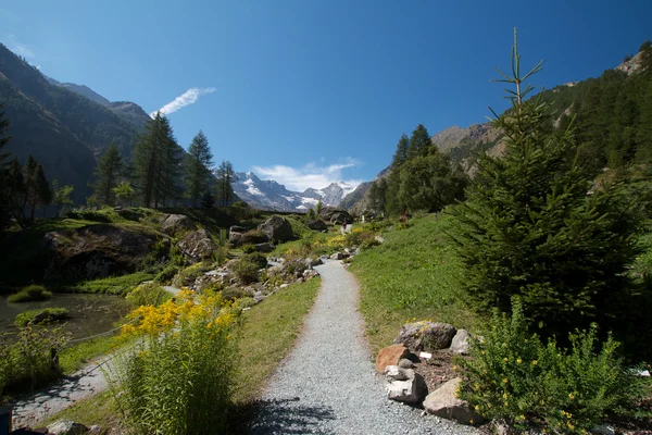 Valnontey - botanische tuin (Valle d'Aosta) — Stockfoto