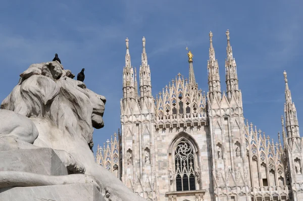 Milano - Duomo — Stock Photo, Image