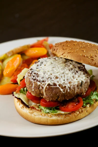 Hamburger - Fast Food — Stockfoto