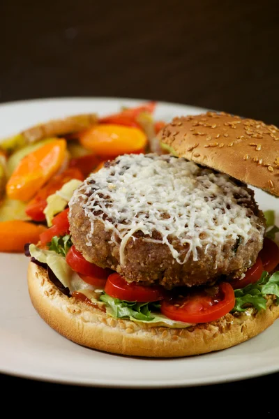 Hamburger - fast food — Zdjęcie stockowe
