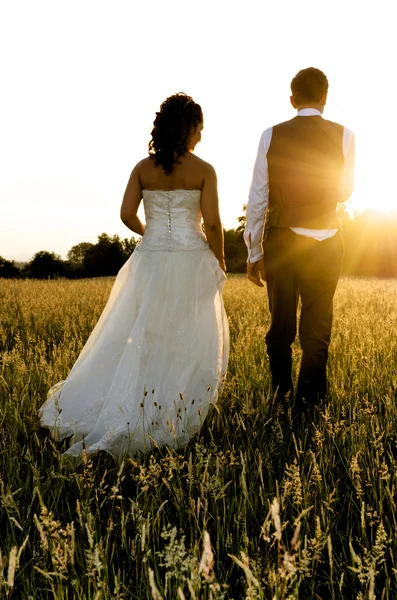 gelin damat