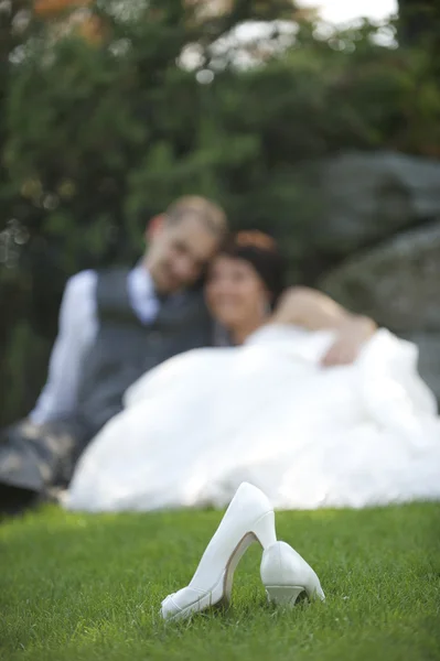 Fiesta de bodas — Foto de Stock