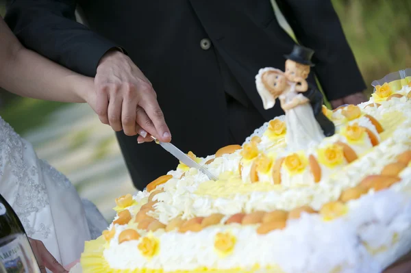 Wedding cake — Stock Photo, Image