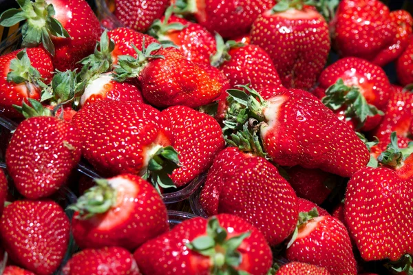 Verse rijpe perfecte aardbeien volledige frame achtergrond — Stockfoto