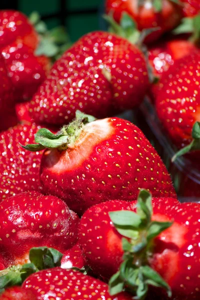 Fresh Ripe Perfect Strawberries Full Frame Background — Stock Photo, Image