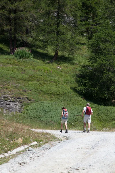 Brusson estoul - aosta-dalen det — Stockfoto