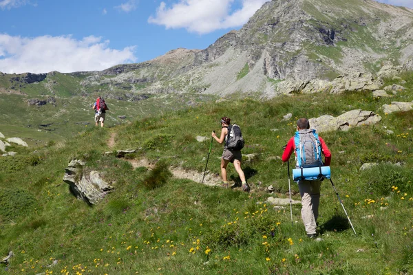 Trekking nelle Alpi — Foto Stock