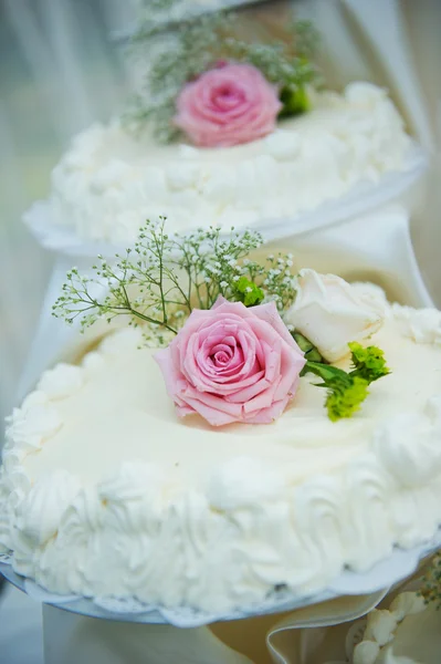 Hochzeitstorte — Stockfoto