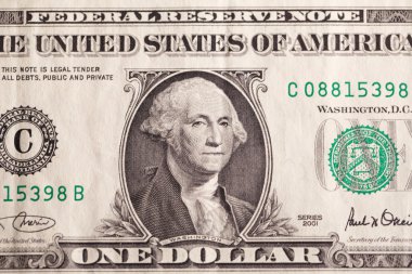 Bizi dolar
