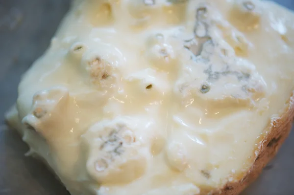 Gorgonzola, olasz sajt — Stock Fotó