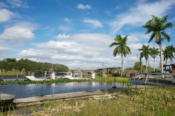 Everglades - Florida — Fotografia de Stock
