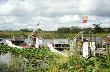 Everglades - Florida