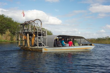 Everglades - Florida