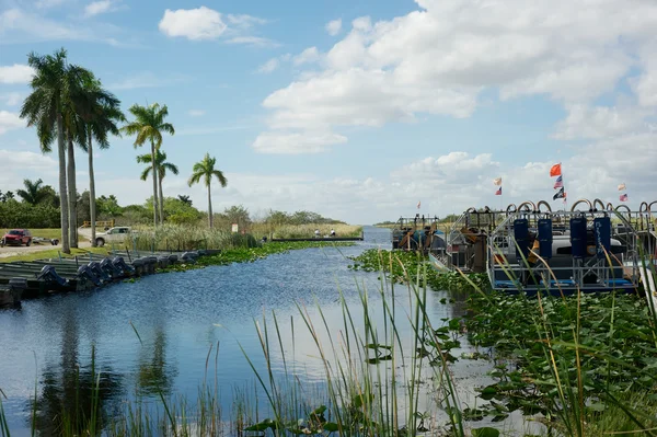 Everglades - Florida — Stock Photo, Image