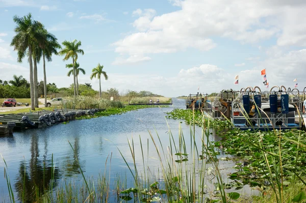 Everglades - Florida — Stock Photo, Image