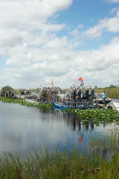 Everglades - Florida — Stock Photo, Image