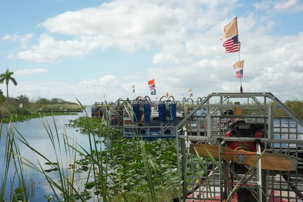 Everglades - Florida — Fotografia de Stock