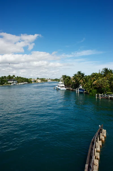 Florida,Usa — Stock Photo, Image