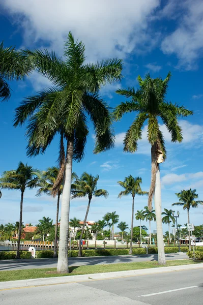 Florida, usa — Stock fotografie