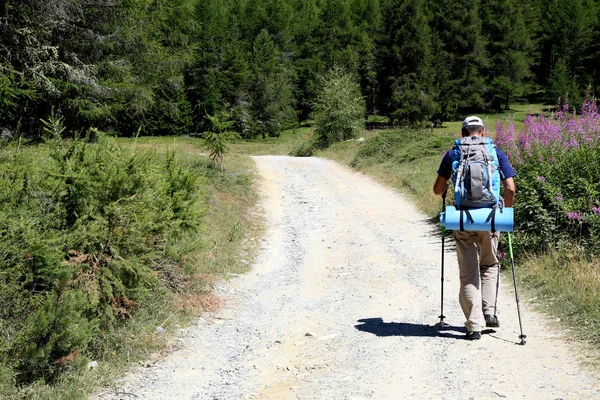 Hiker — Stock Photo, Image