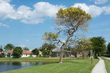 Florida, Coconut creek