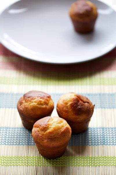 Muffin — Stockfoto