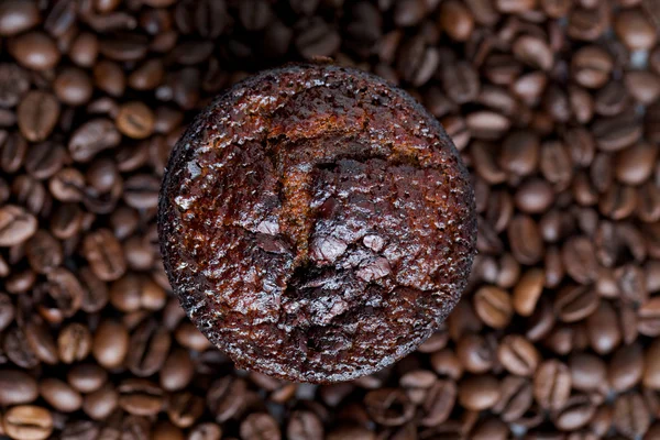 Kaffe muffins — Stockfoto