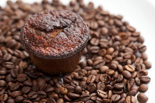 Kaffe muffins — Stockfoto