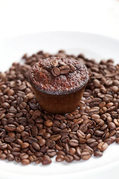 Kaffe muffins — Stockfoto