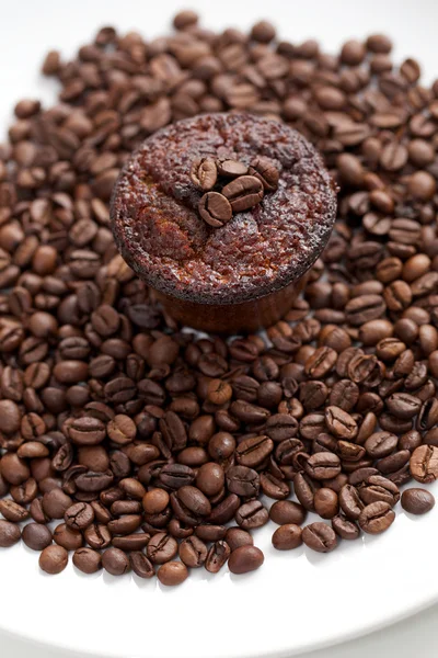Kaffe muffins — Stockfoto