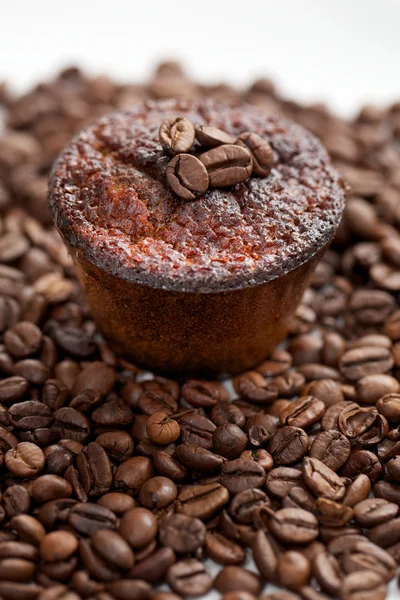 Kaffe muffins — Stockfoto