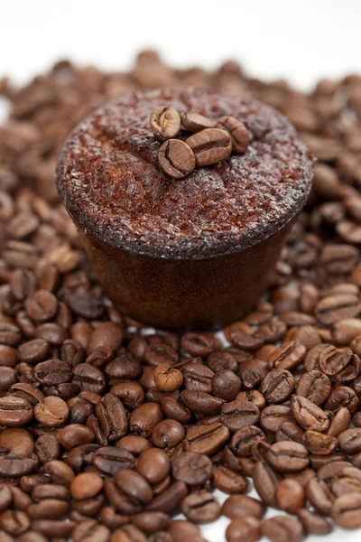 Kaffe muffins — Stockfoto