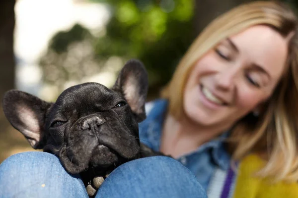 Closeup Happy Young Woman French Bulldog Outdoors Autumn — Stock Photo, Image