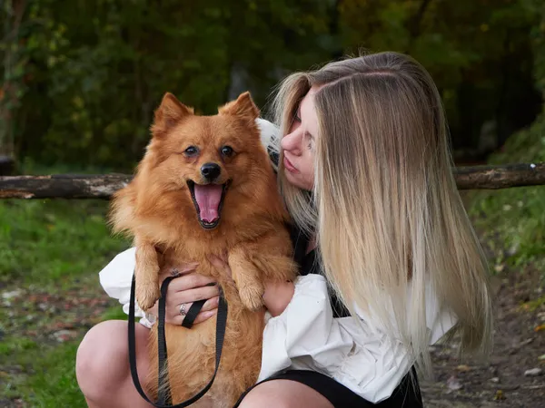 Hübsches Blondes Mädchen Spielt Mit Pommerschem Hund — Stockfoto