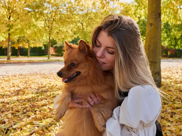 Bonita Chica Rubia Jugar Con Pomeranian Perro —  Fotos de Stock