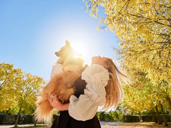 Menina Loira Bonita Jogar Com Cão Pomerânia — Fotografia de Stock