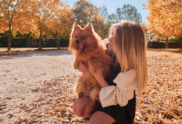 Menina Loira Bonita Jogar Com Cão Pomerânia — Fotografia de Stock