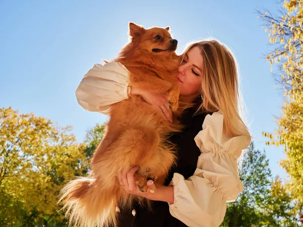 Pretty Blond Girl Play Pomeranian Dog — Stock Photo, Image