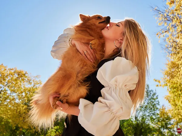 Pretty Blond Girl Play Pomeranian Dog — Stock Photo, Image
