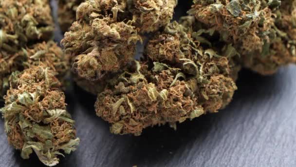 Macro Shot Cannabis Légal — Video