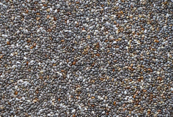 Chia tohum - yakın çekim