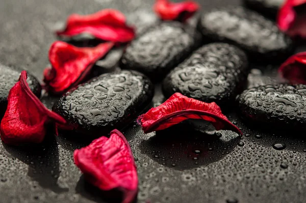 Achtergrond spa. zwarte stenen en rode bloemblaadjes met waterdruppeltjes — Stockfoto