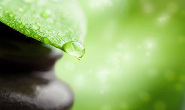 Green background spa with leaf and water drop