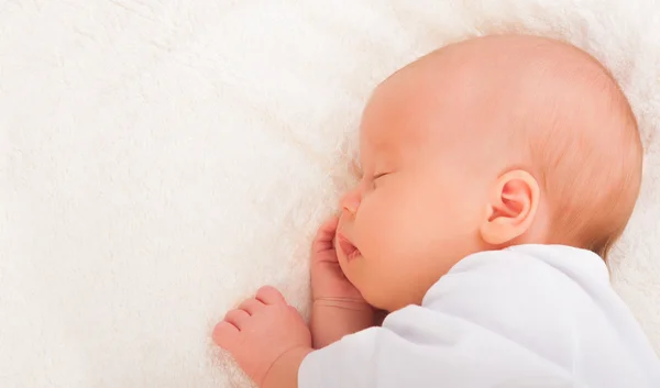 Bebê recém-nascido dorme — Fotografia de Stock