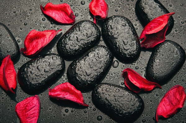 background spa. black stones and red petals with water droplets